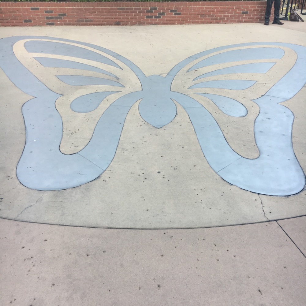 Meet your Posher, Sierra